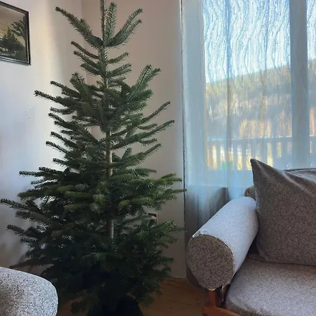 Apartmán Monika Frymburk