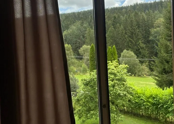 Monika Apartment Frymburk nad Vltavou